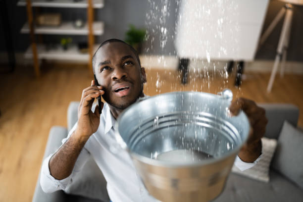 Best Basement water damage restoration  in Duryea, PA