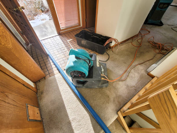 Duryea, PA Water damage restoration Company