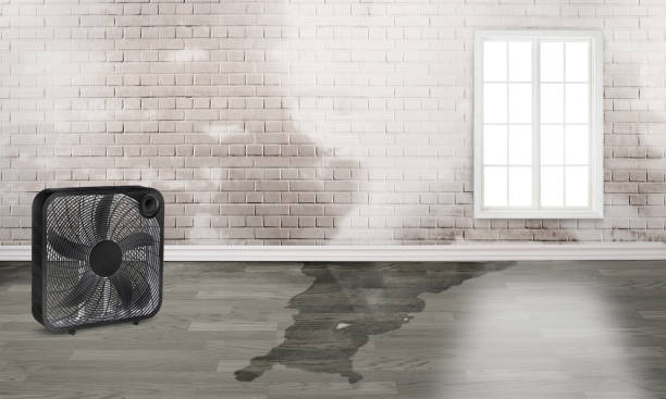 Best 24/7 water damage repair  in Duryea, PA