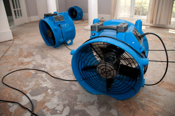 Best Water damage restoration process  in Duryea, PA