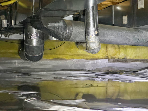 Best Flood restoration services  in Duryea, PA